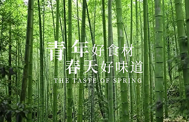 品味青年公社“春菜上新”，與春天打一聲招呼